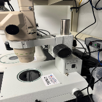 Olympus SZX Stereo Microscope image 0